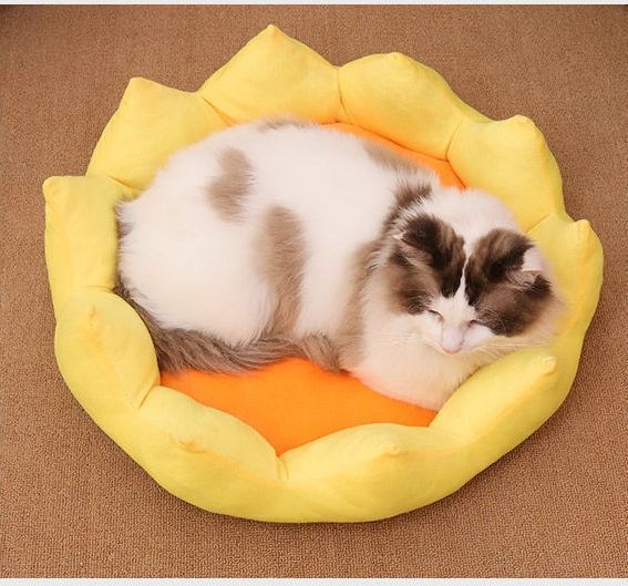 ふわふわ あったか
