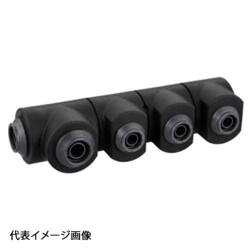 決まりました 激安！品川血統受け継ぐダイヤモンドポルカ ♀メス 