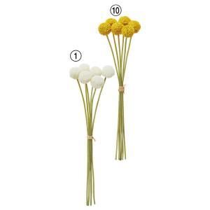 3営業日で発送 アスカ Asca クラスペディアバンチ 1束6本 A-35187-001 入数 24