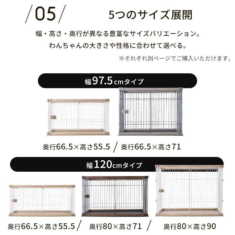 公式