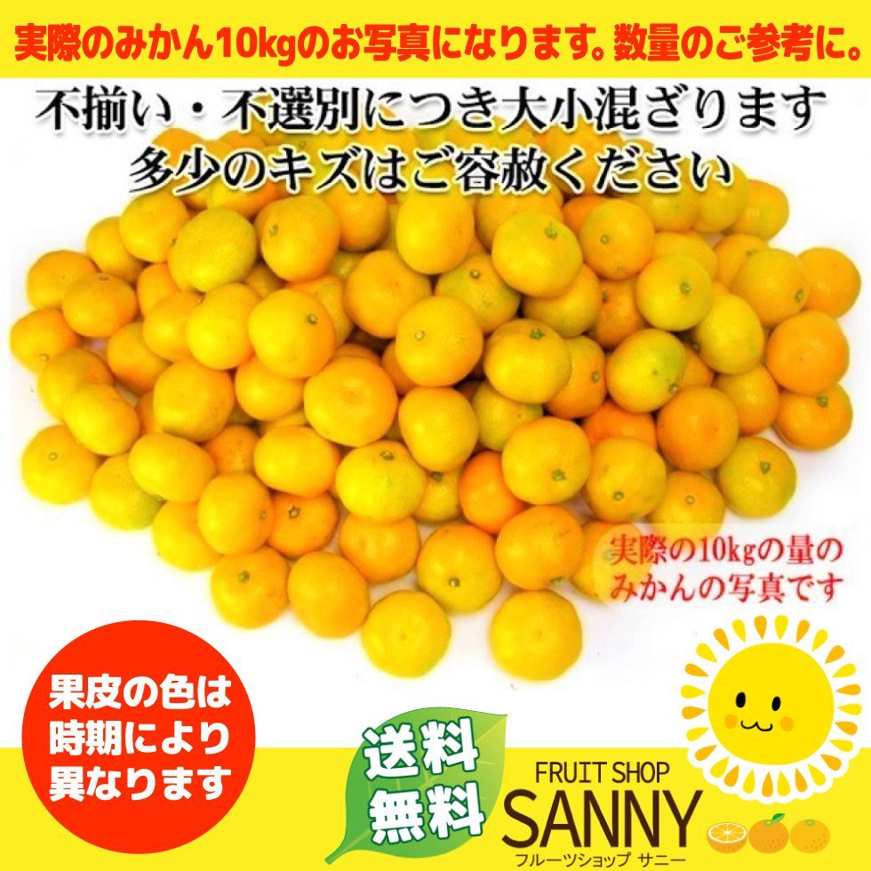 愛媛みかん（7日以内発送）外なり 愛媛みかん箱込1.2kg+保証分300g ※沖縄・離島・北海道は発送不可