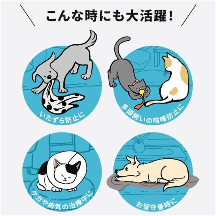 コンビネーションサークル サークル