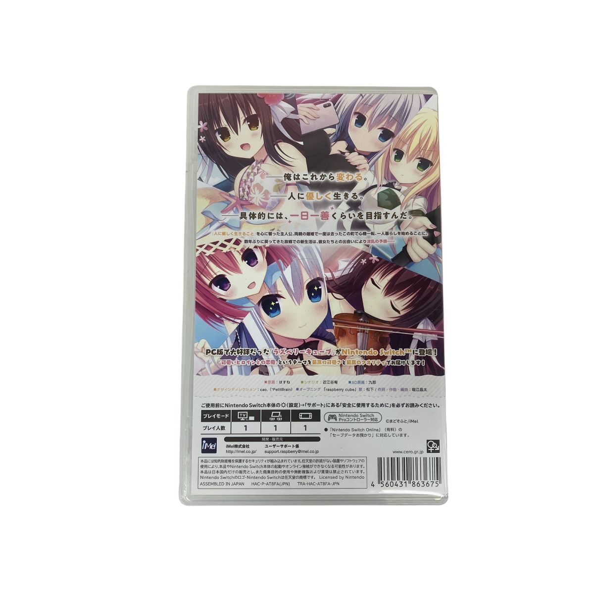 NintendoSwitchソフト 任天堂 Nintendo SWITCH ラズベリーキューブ ゲームソフト 中古