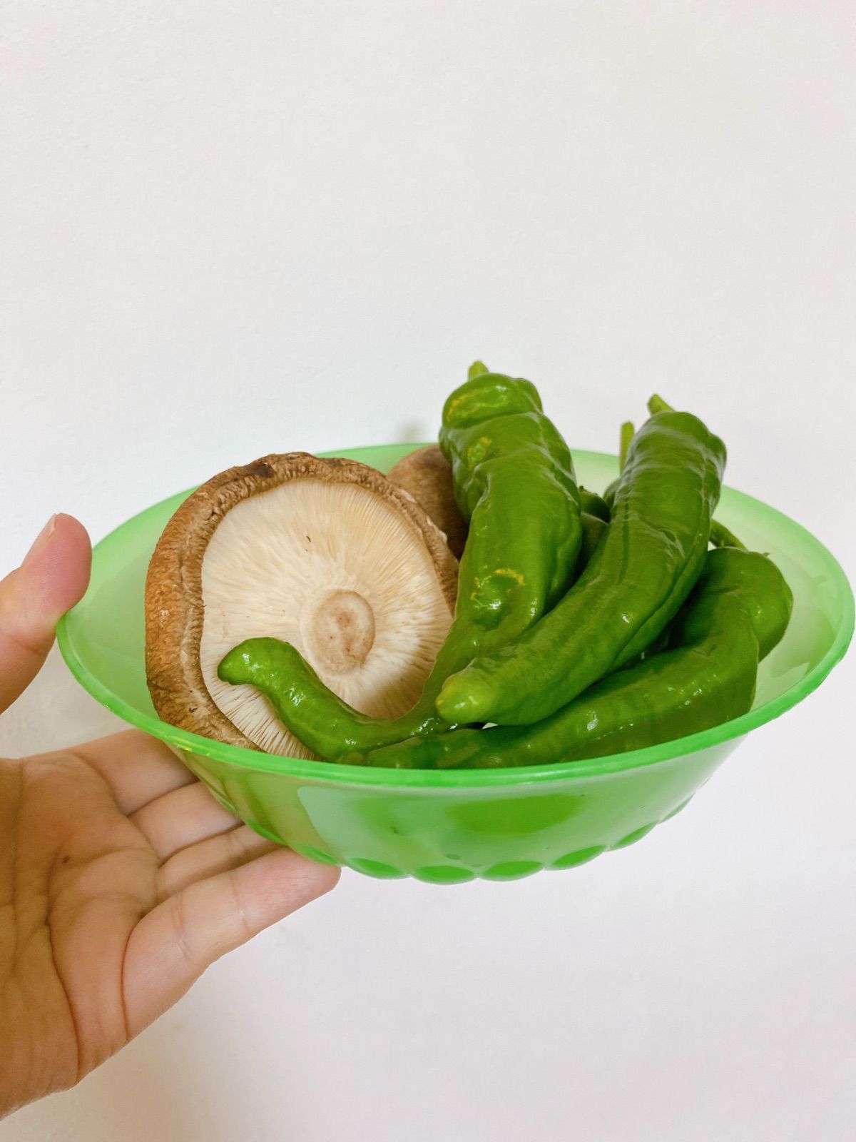 カラフルボウル（大）】ベトナム製プラスチック/ 器/どんぶり