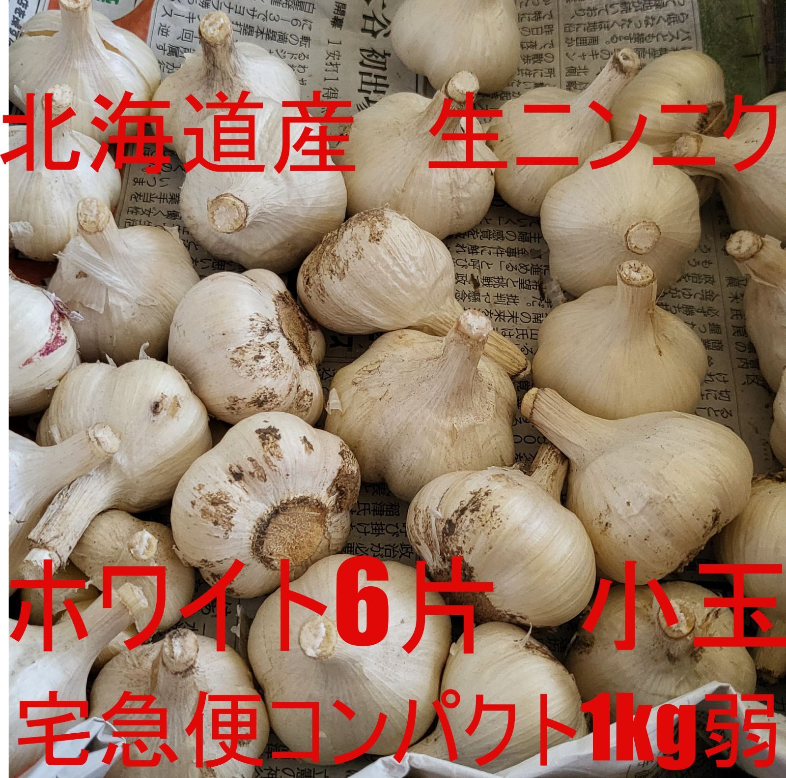 訳あり！ 北海道産生ニンニク ホワイト六片 小玉ssサイズ 1kg弱