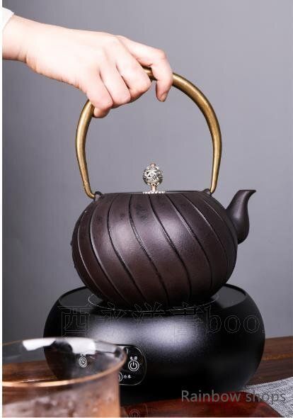 急須 鉄びん 鉄分補給 未塗装鉄器 茶壺 提梁壷 水壷 bcp4