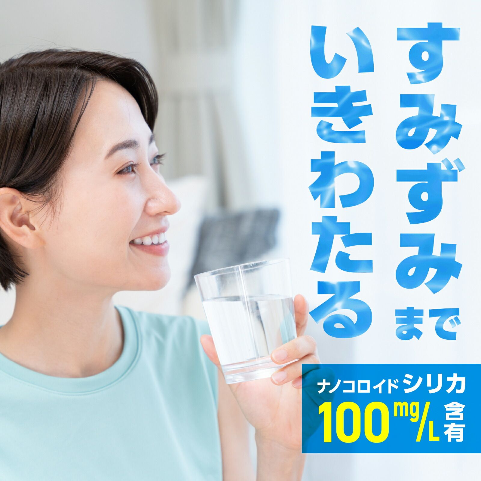 500mL×48本セット
