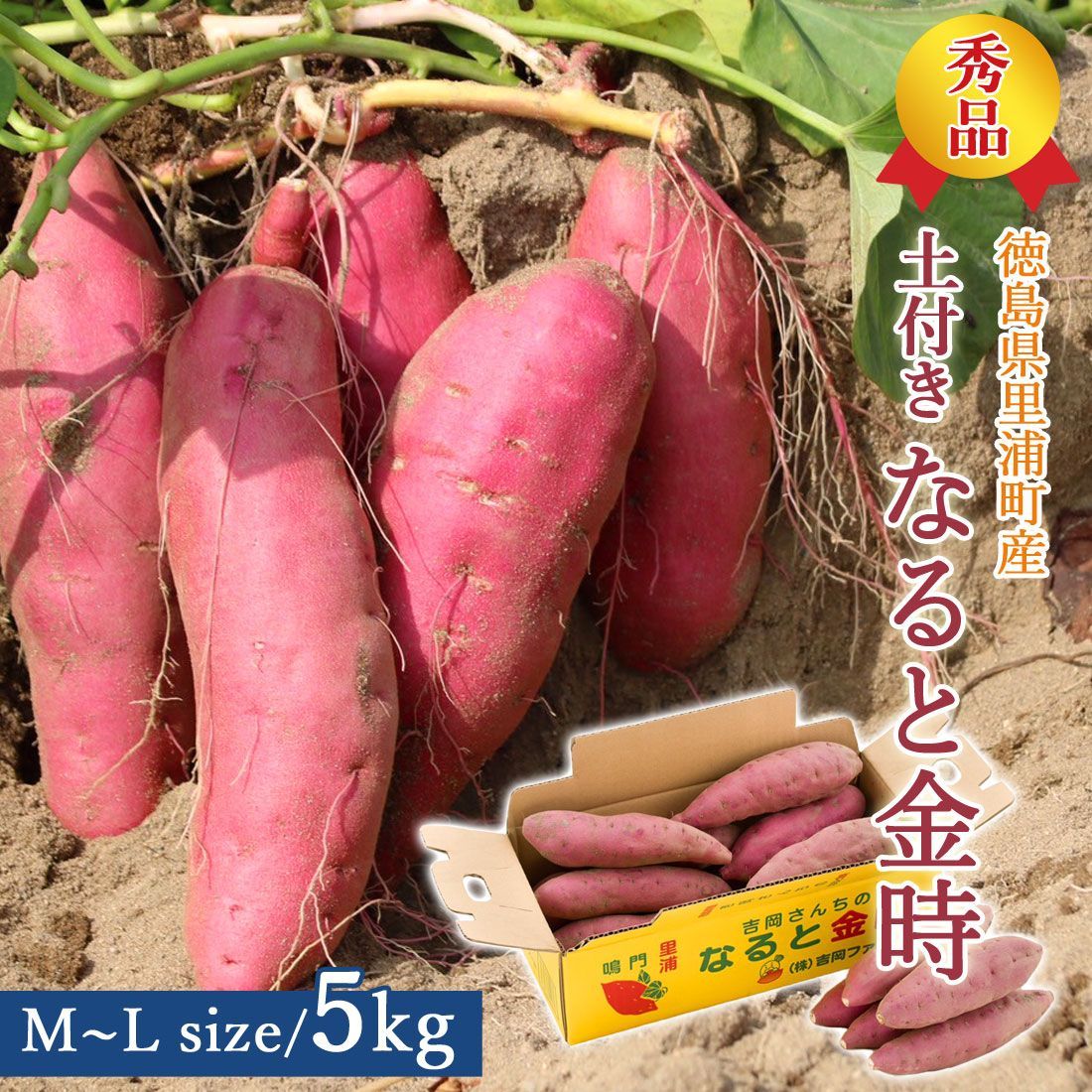 熟成　鳴門金時　秀品　優品　5kg ずつ【さつまいも】 徳島県産 ”鳴門金時 甘姫” 秀品 M〜Lサイズ 約5kg さつまいも
