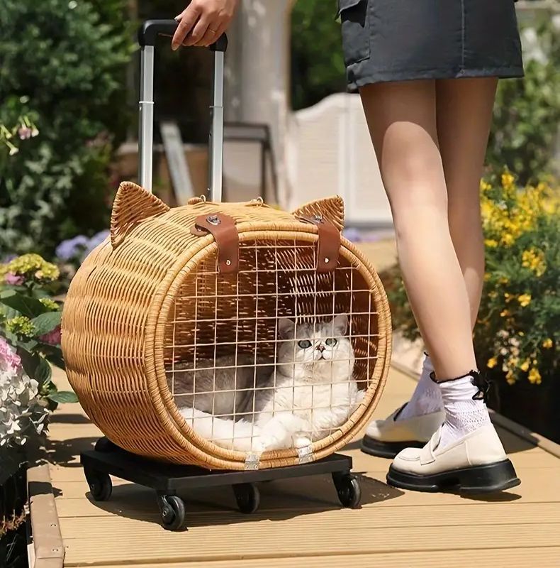取っ手付き