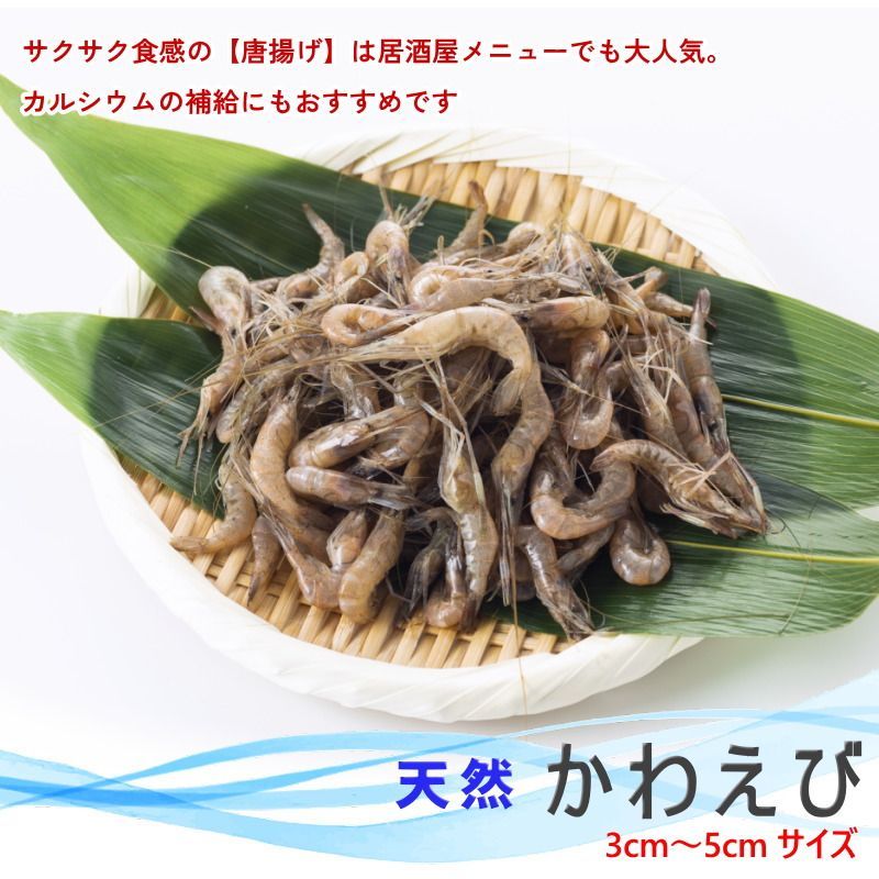 えびえび MARUHA NICHIRO マルハニチロ サラダえび 1kg 冷凍 41/50サイズ