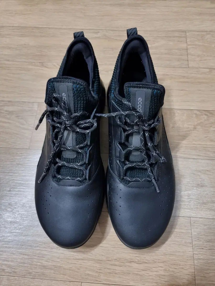 ecco GORE-TEX ゴルフシューズ 黒27.5㎝（雷市場（ポンジャン