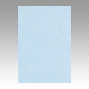（まとめ） 色画用紙 文運堂 ニューカラーＲ ラベンダー 8NCR-131 4954022681319 1冊【×10セット】