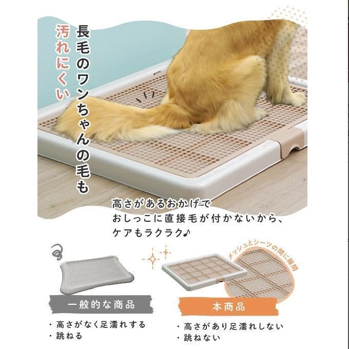 フチもれしにくい トレーニング
