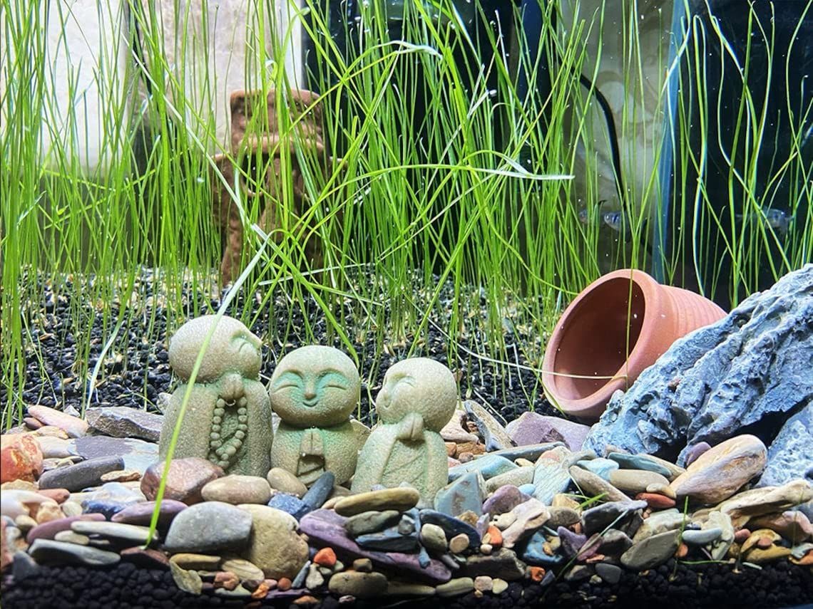 御影石の可愛らしいお地蔵様 Amazon.co.jp: 癒しのお地蔵さん 置物 みかげ石 かわいい 御影石のお