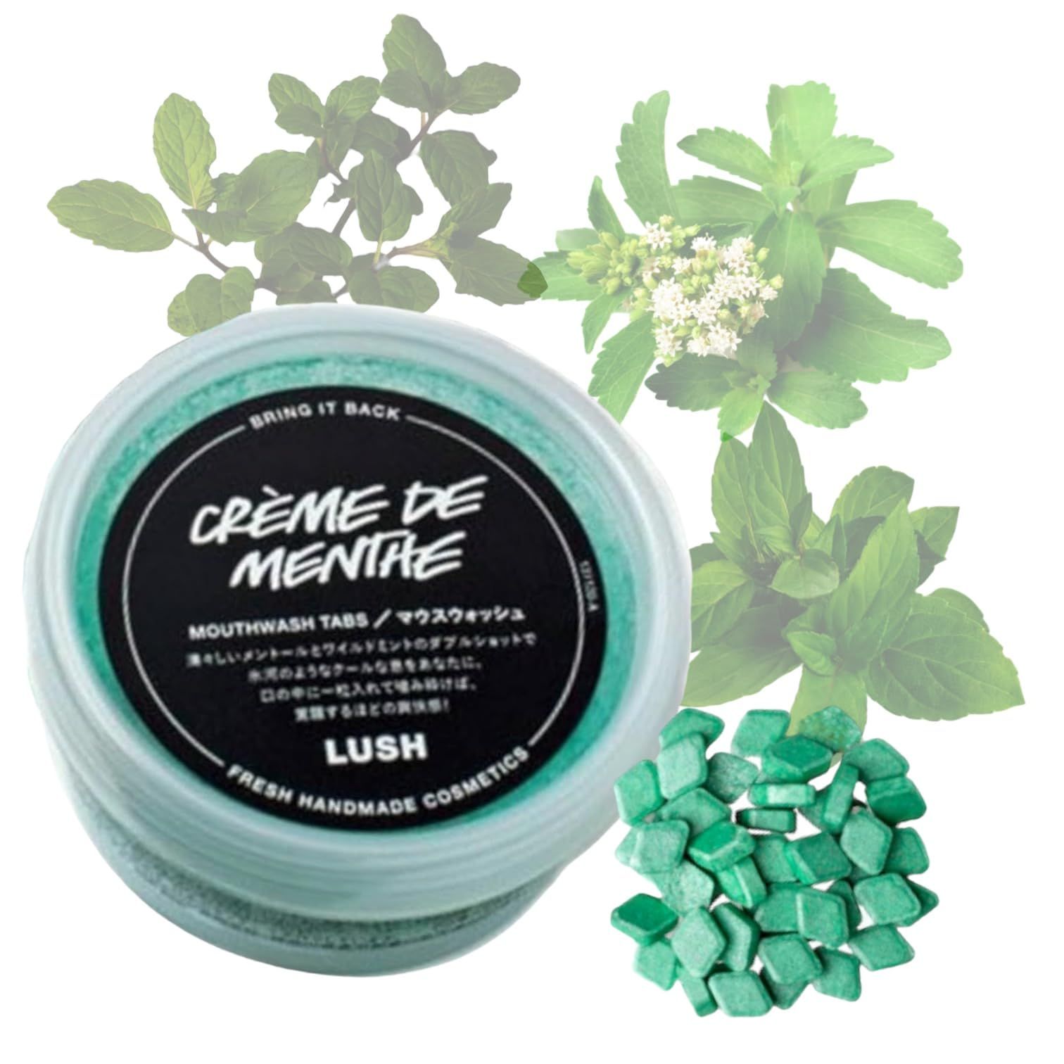 LUSH ラッシュ creme de mnenthe クレームドマント マウスウォッシュ トゥースペーストタブレット 歯磨き用タブレット 歯磨き粉 お口のケア ホワイトニング セルフホワイトニング 口臭 予防 