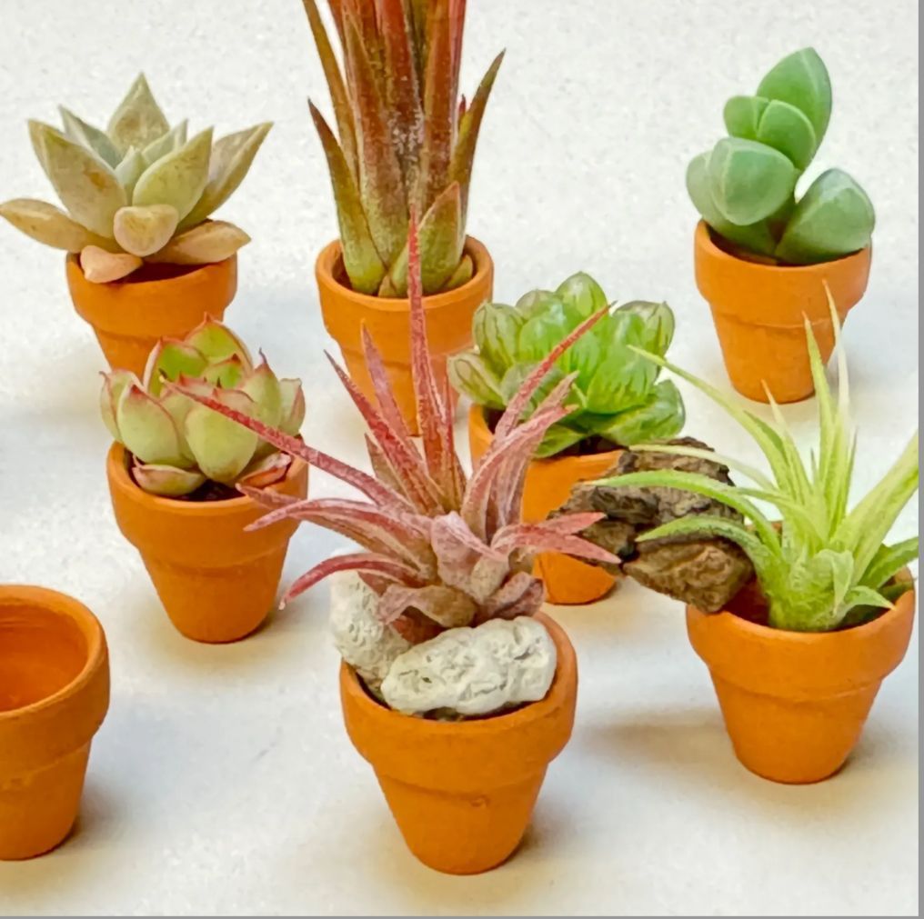 ○平日＊日中注文即日発送-超ミニミニ豆テラコッタ鉢-0.7号(外径φ2.1