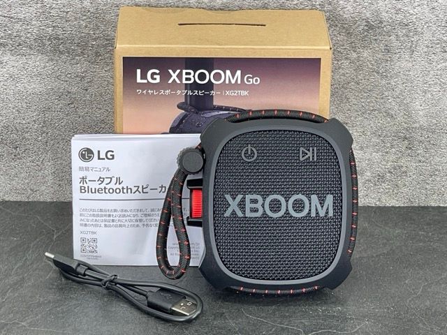 XBOOM Go
