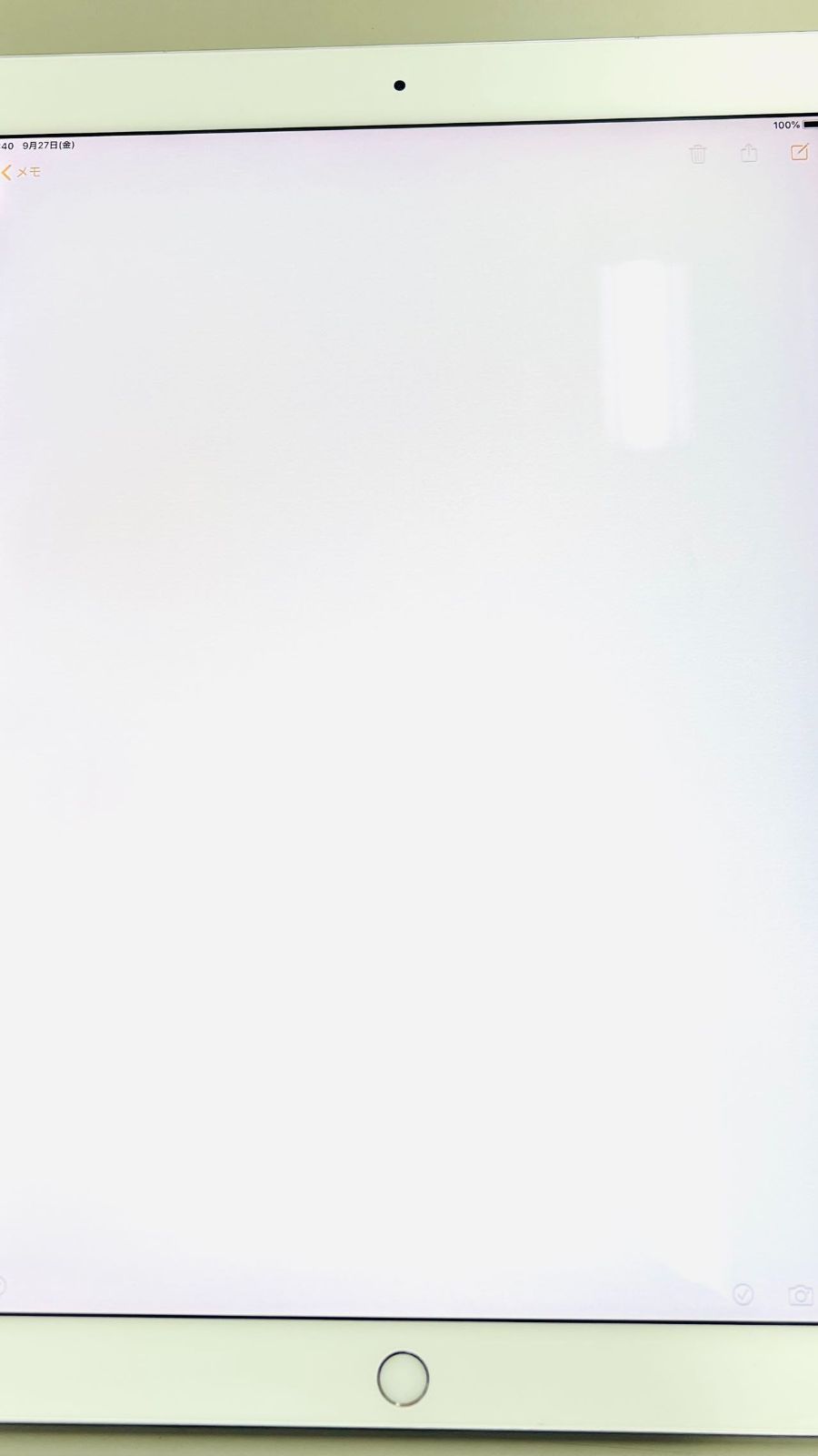 ジャンク iPad Pro 12.9