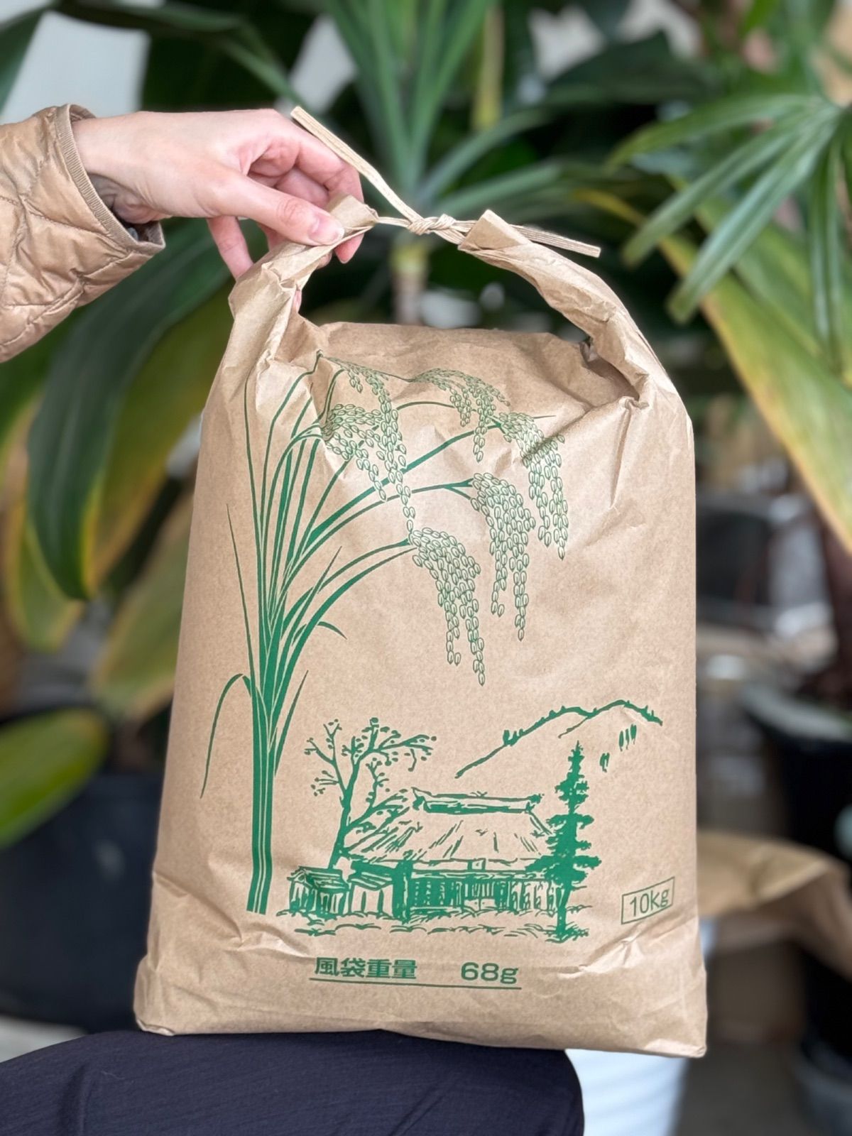 即日発送)ヒノヒカリ 令和6年産 10kg