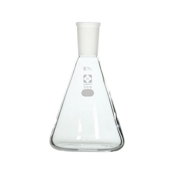 共通摺合三角フラスコ 300mL 