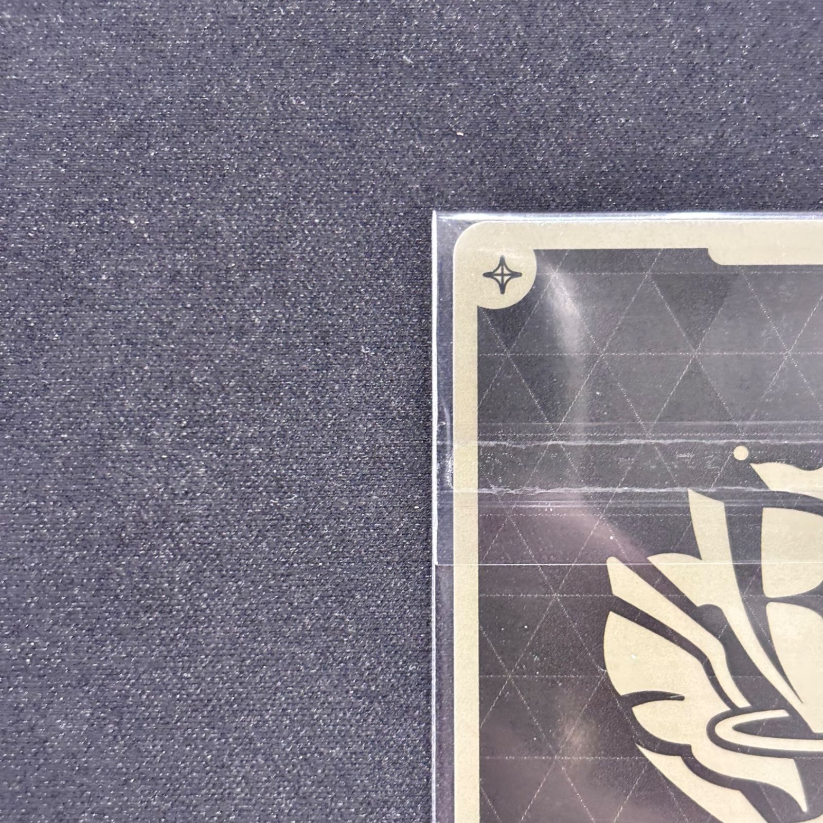 全国大会 プロモ