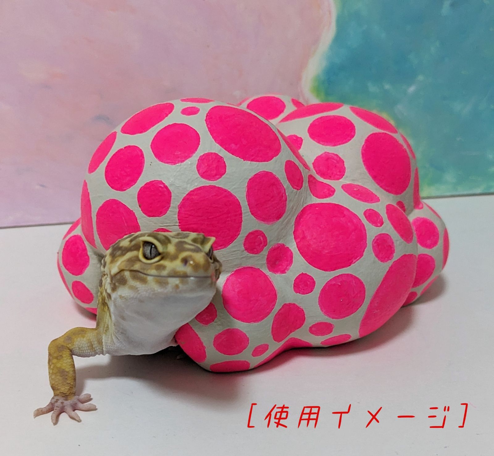 クモ形_003