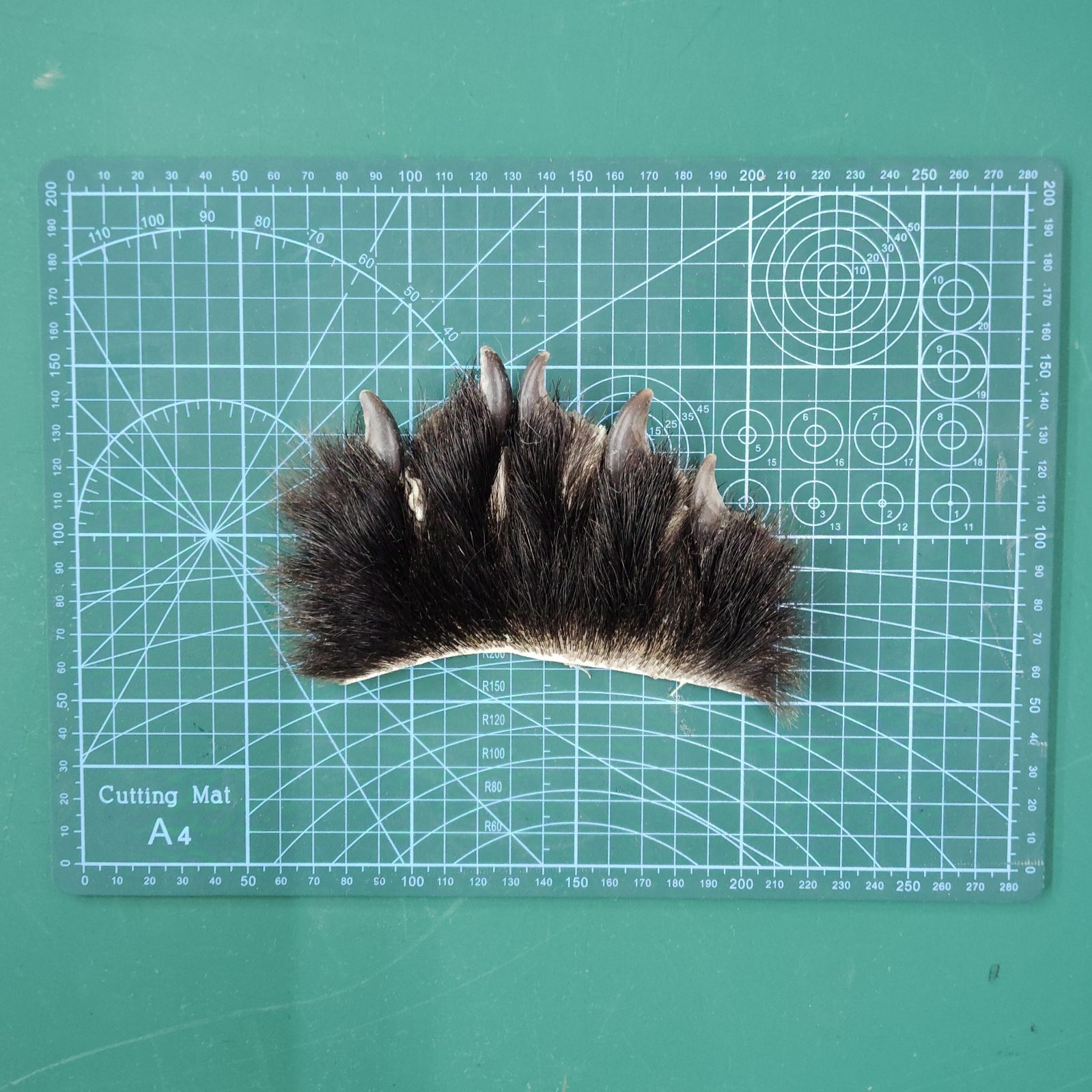 【お値下げしました】油彩額縁 F10号 デュエット Arte Mondo お値下げしました】油彩額縁 F10号 デュエット Arte Mondo - メルカリ