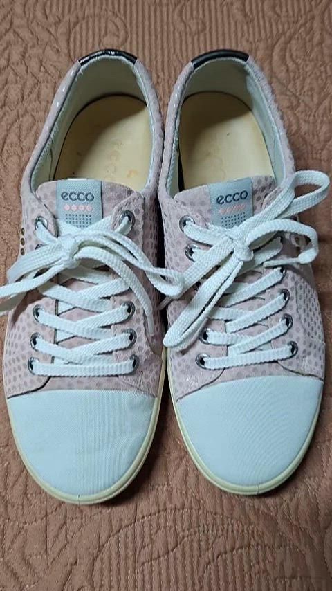 240 Ecco