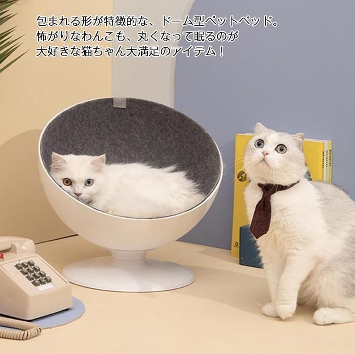 カッコいい