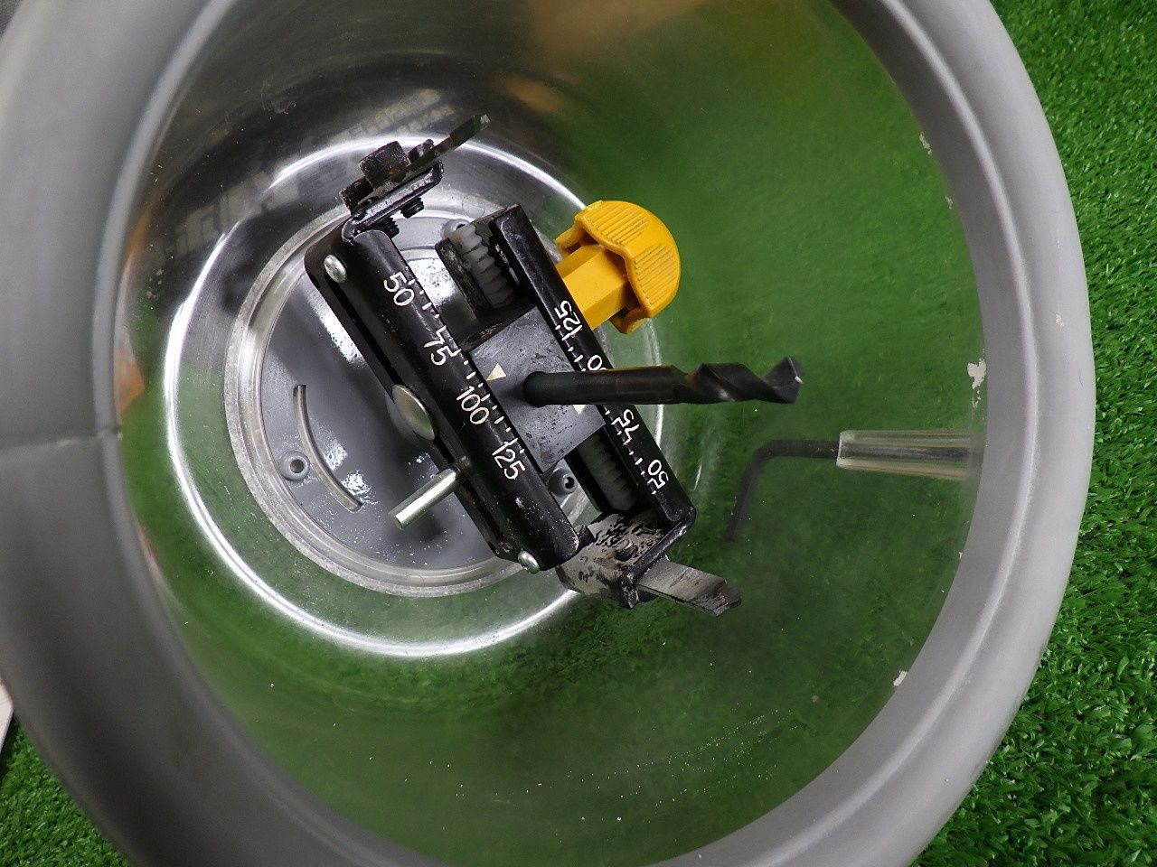 フリーホルソー