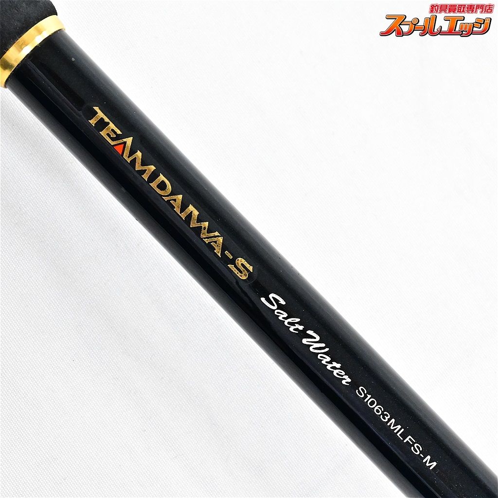 シーバス ダイワ TEAMDAIWA-S SaltWater S1204T-3RS ケース付き Daiwa 