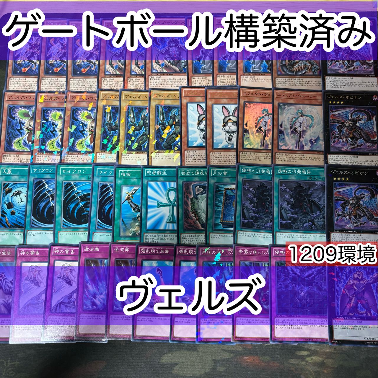 遊戯王【ヴェルズ(1209環境)】デッキ オピオン スリーブ付.　ゲートボール 遊戯王【ヴェルズ(1209環境)】デッキ オピオン スリーブ付