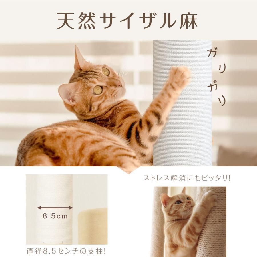 突っ張り スリム