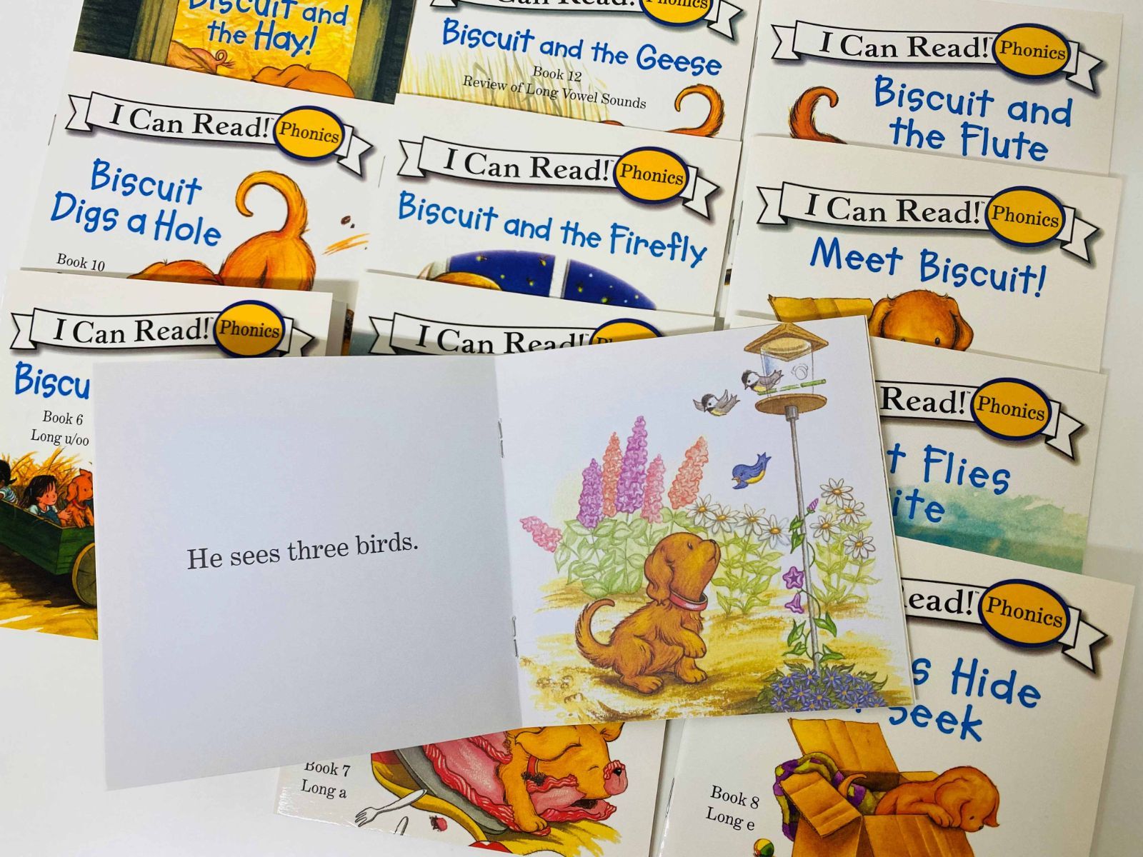 新品】ビスケットフォニックス 24冊 I can read phoics biscuit