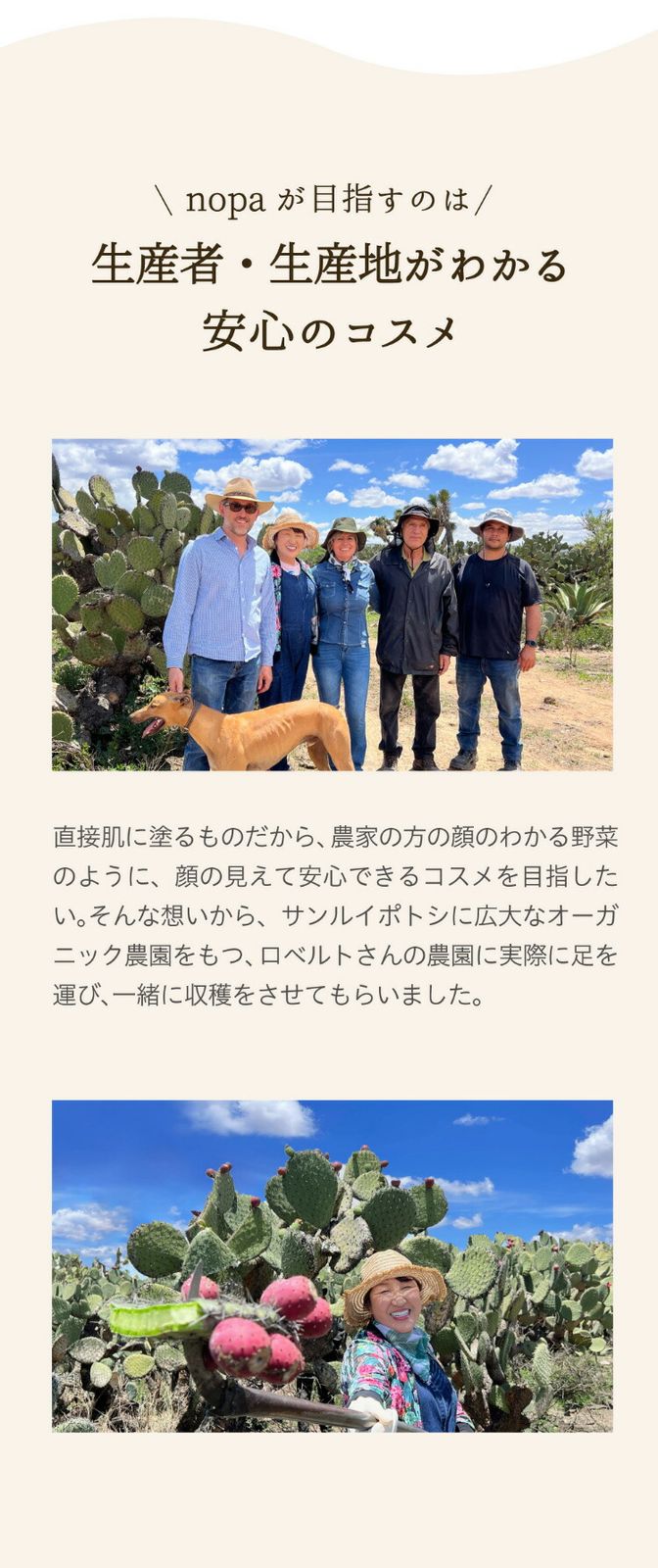 オーガニックインフィニティオイル