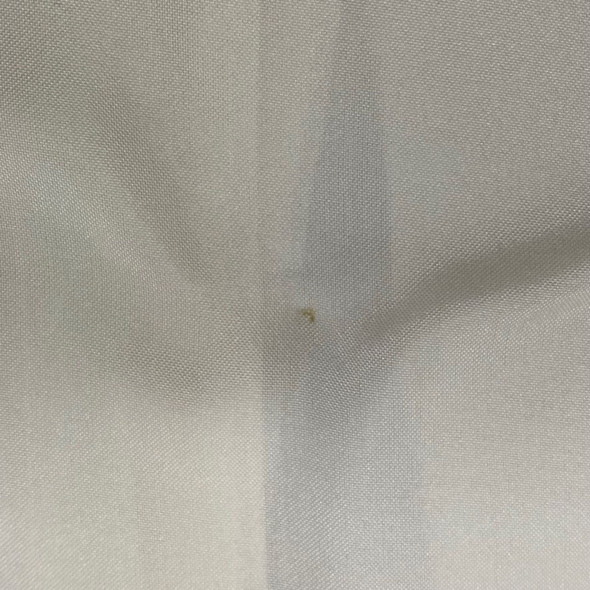 葉柄 よろけ縞