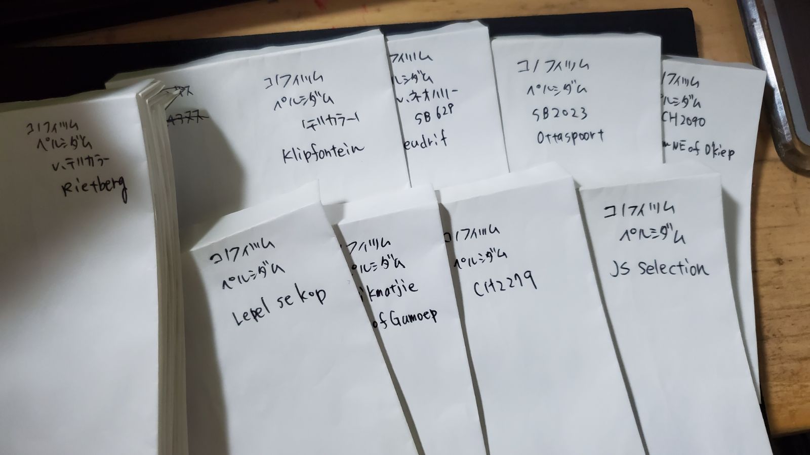 ペルシダム 種子100種類