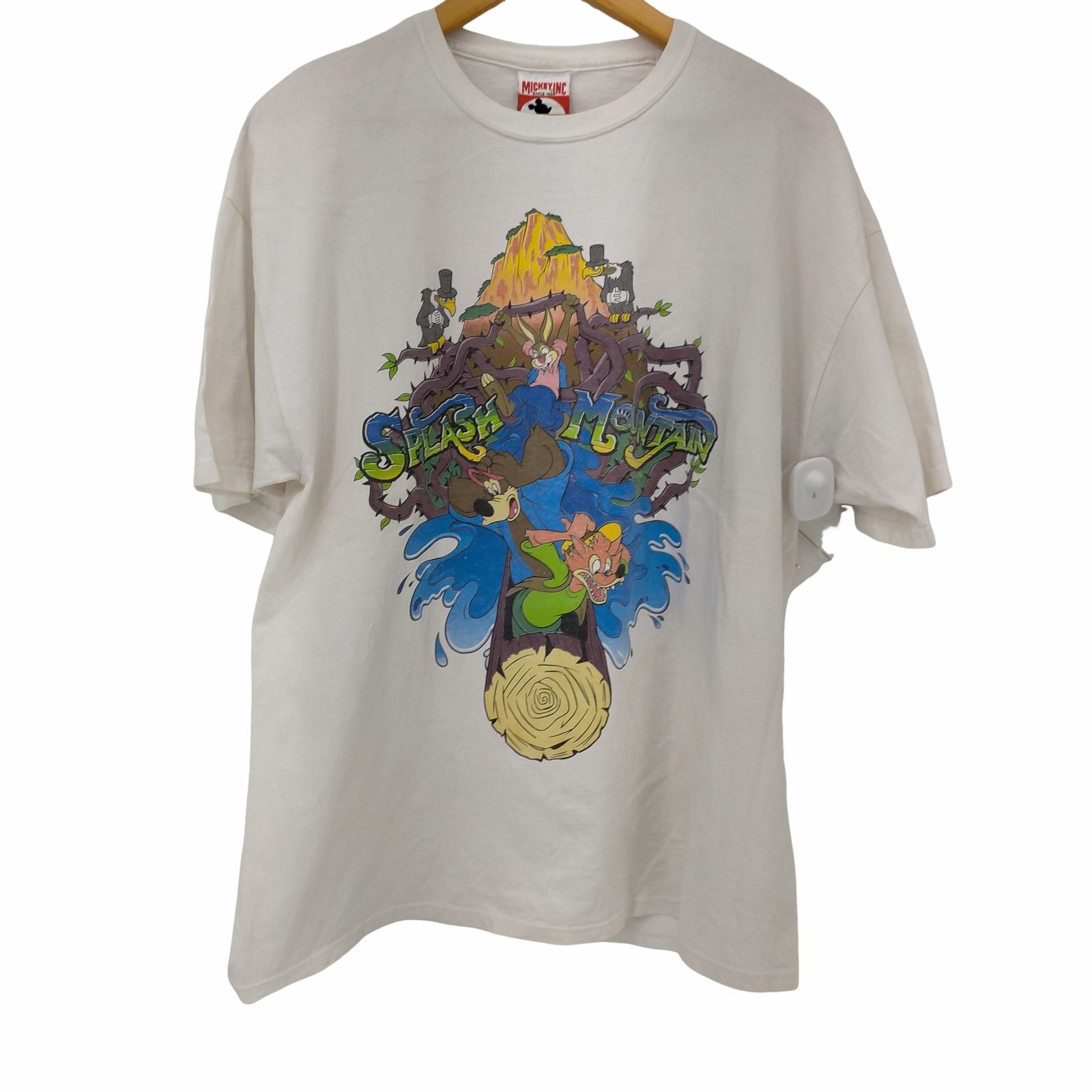 ユーズドフルギ USED古着 90S MADE IN USA SPLASH MOUNTAIN Tシャツ メンズ import：L 