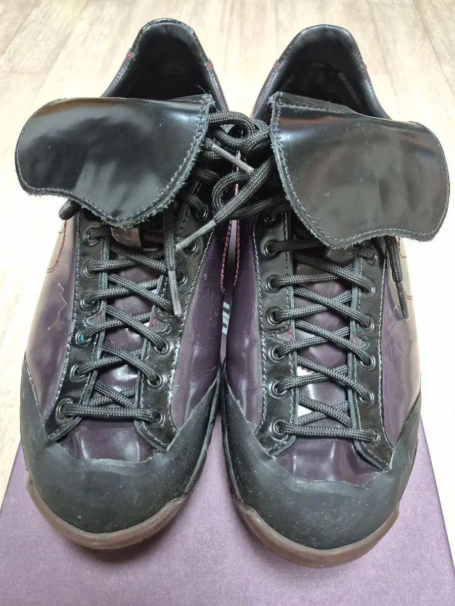 X ハイキングパトロール