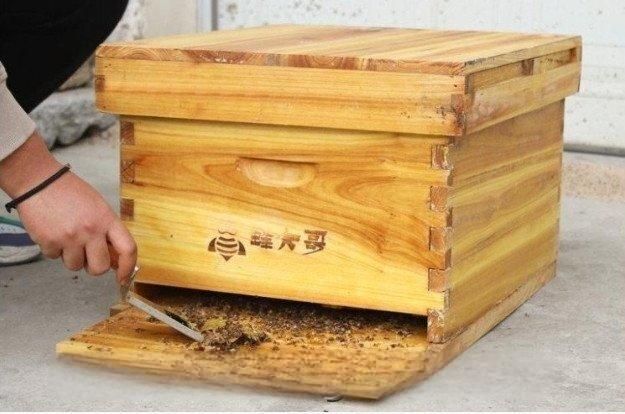 ミツバチ巣箱セット 養蜂 巣箱 キット 5フレーム ミツバチの巣箱 蜜蜂養蜂箱 木製の 蜜蜂の巣箱セット 養蜂器具 防水 防湿 ZYP33特別価格