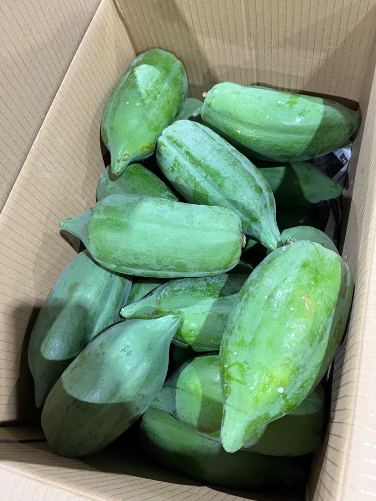 沖縄県産