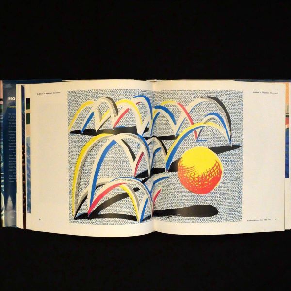 Hockney's Pictures デイヴィッド・ホックニー画集 13ほy - メルカリ