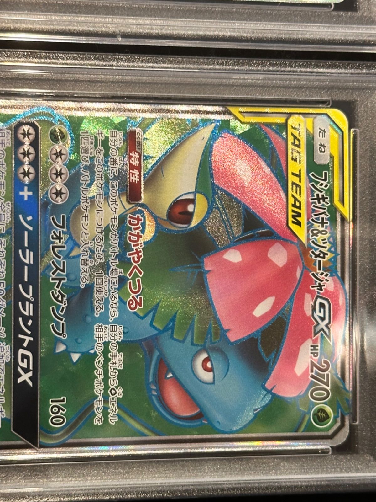 連番〔PSA10〕フシギバナ＆ツタージャGX【HR】{074/064} [その他