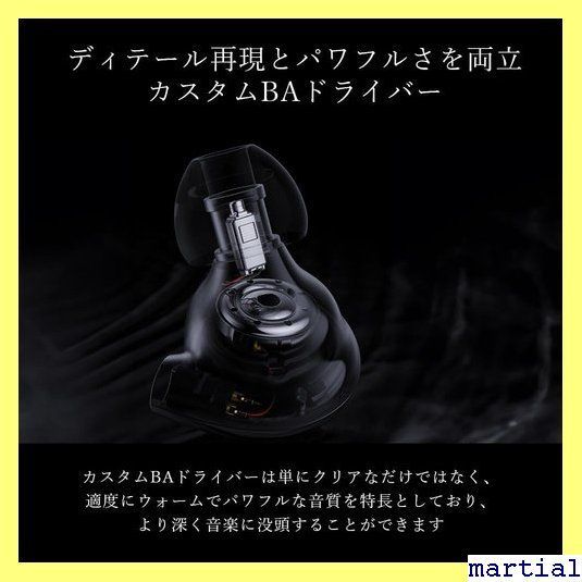 ☆人気商品☆ FIIO FH11 FIO-IEM-FH11-B 有線 イヤホン IEM ハイレゾ