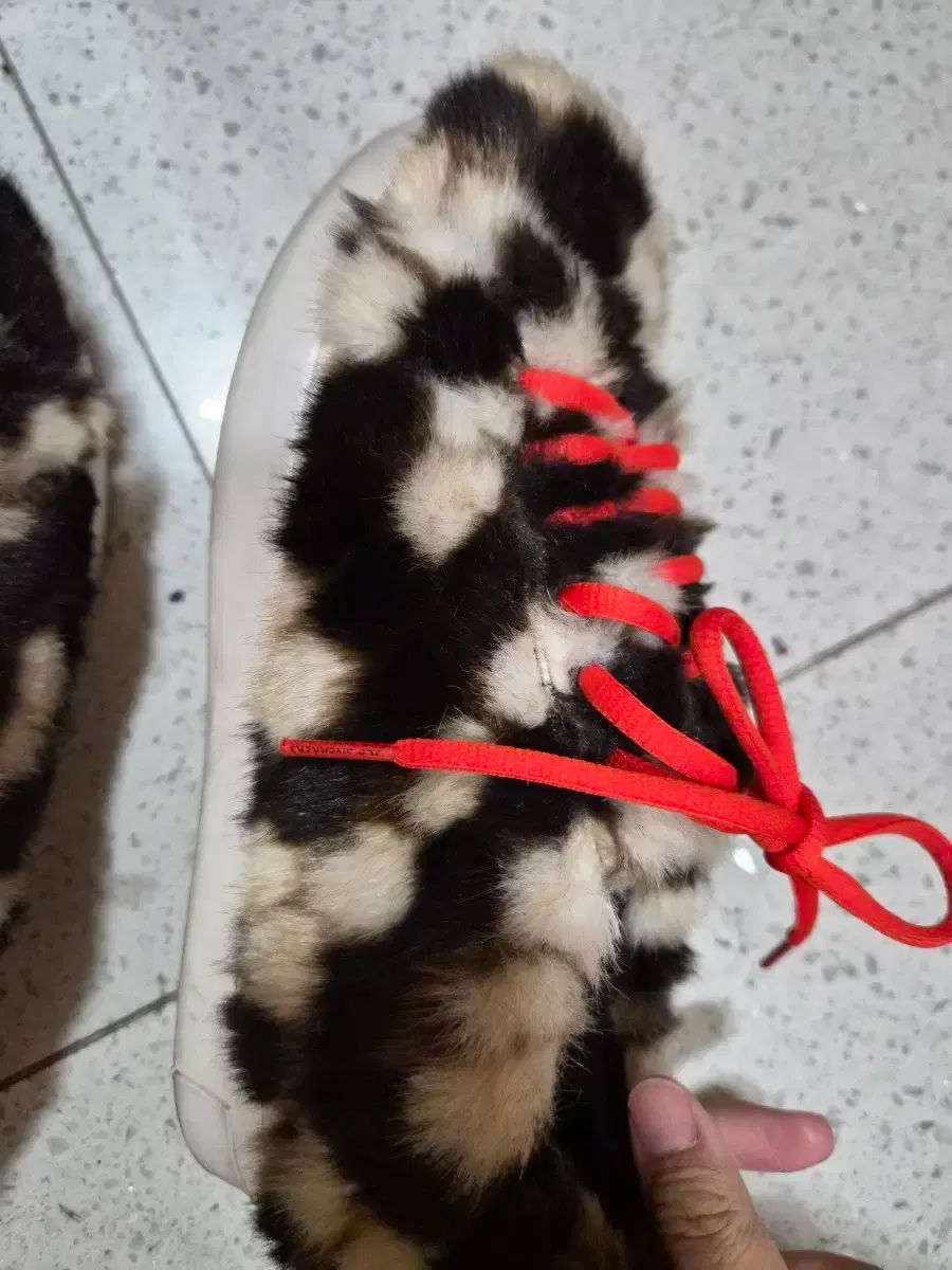 BONNIE シューコンマボニー