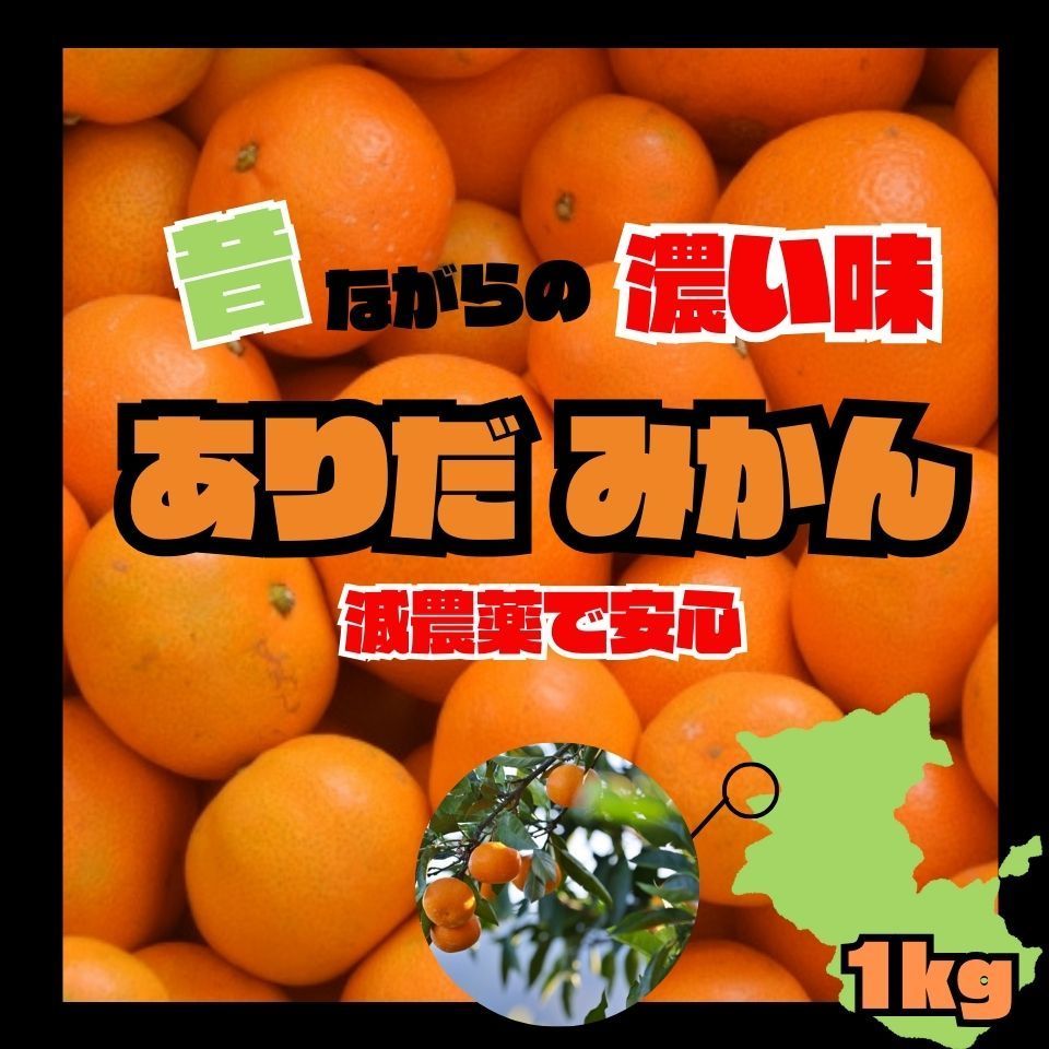 減農薬 甘い 有田みかん 1kg 少農薬 和歌山 おいしい ミカン 蜜柑 有田 みかん 愛媛 みずみずしい 傷あり コスパ