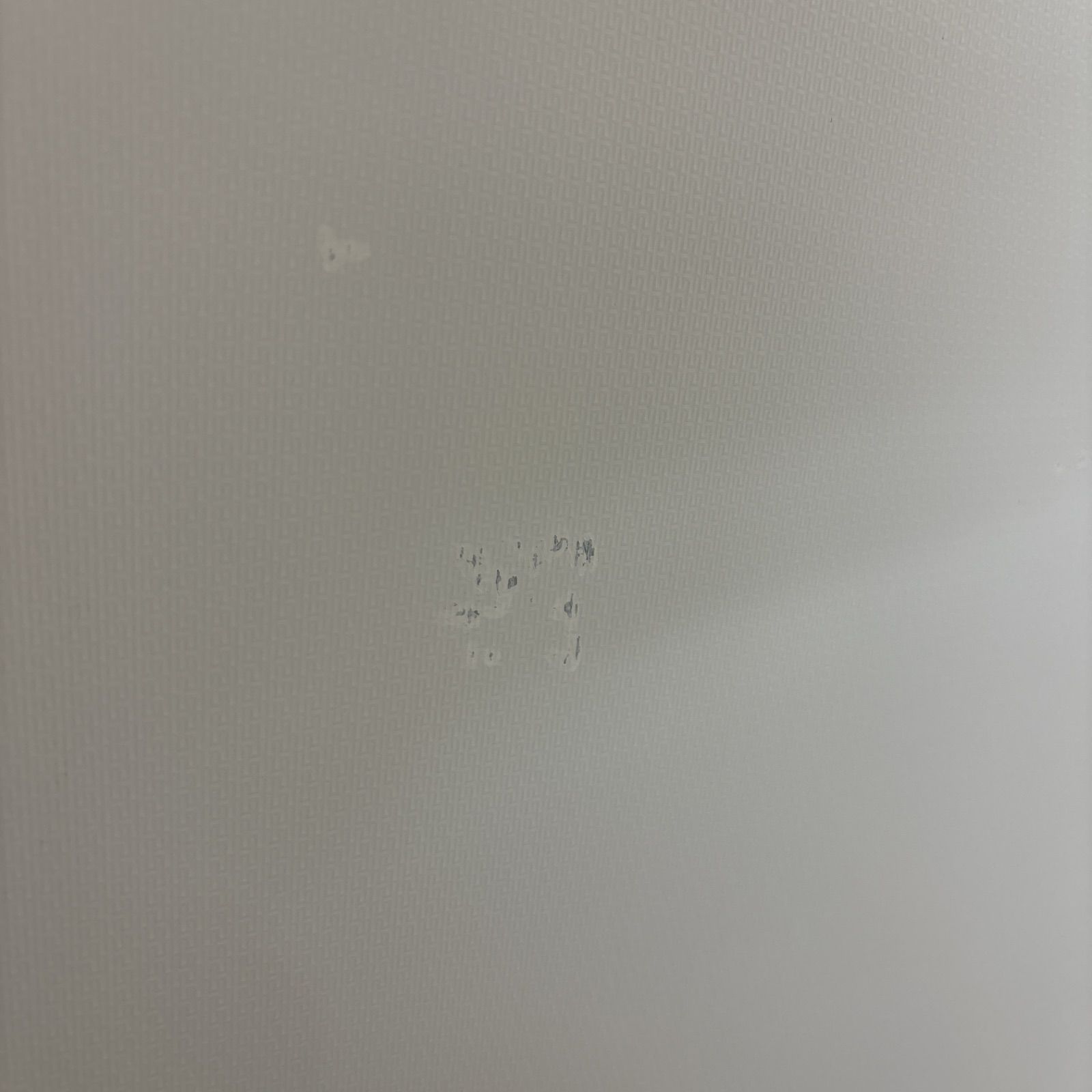 クリーニング済