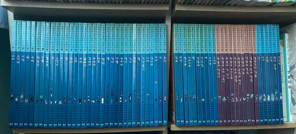 Hiroshi Sugito/ 杉戸洋 April Song 作品集. 画集 イラスト 本 レイアウト