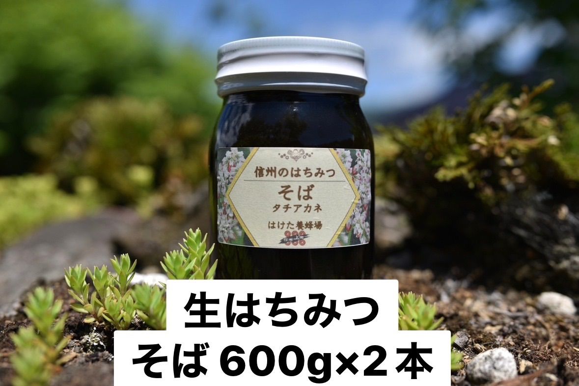 そば 生はちみつ 600g×2本 国産 蜂蜜 生産者直送