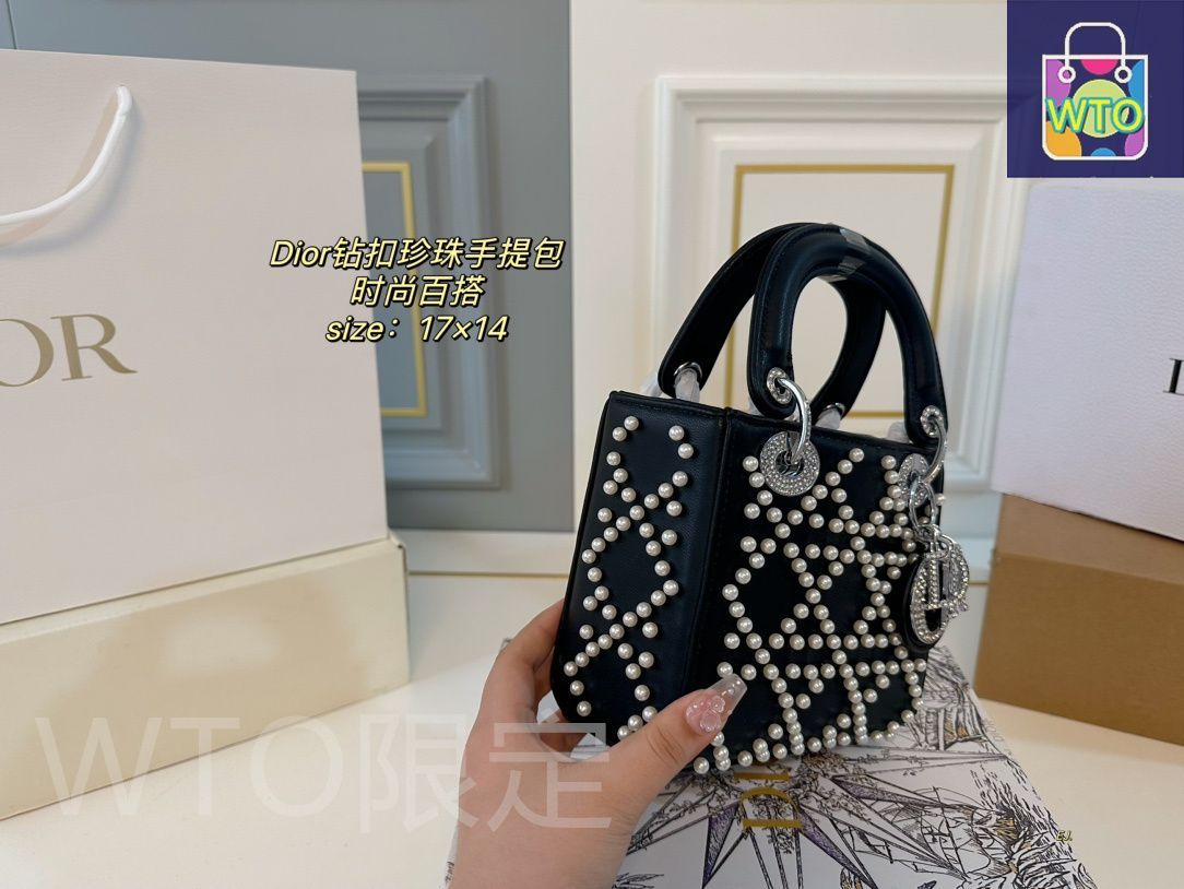 今日 DIOR Lady Dior キャンバスと水?のハンドバッグ 送料無料で今の在庫は な価格です WT1輸入 STEELWINDOWSANDDOORS_COM